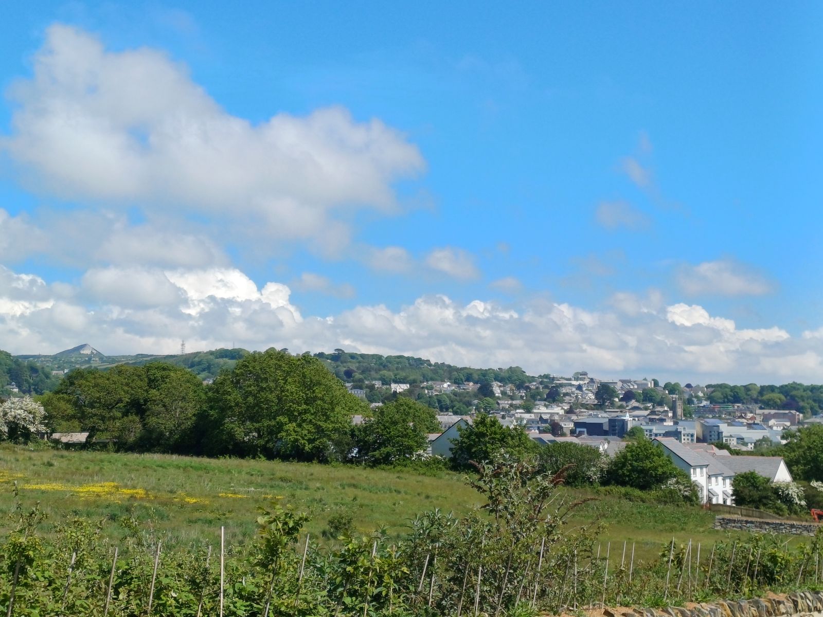 Development View