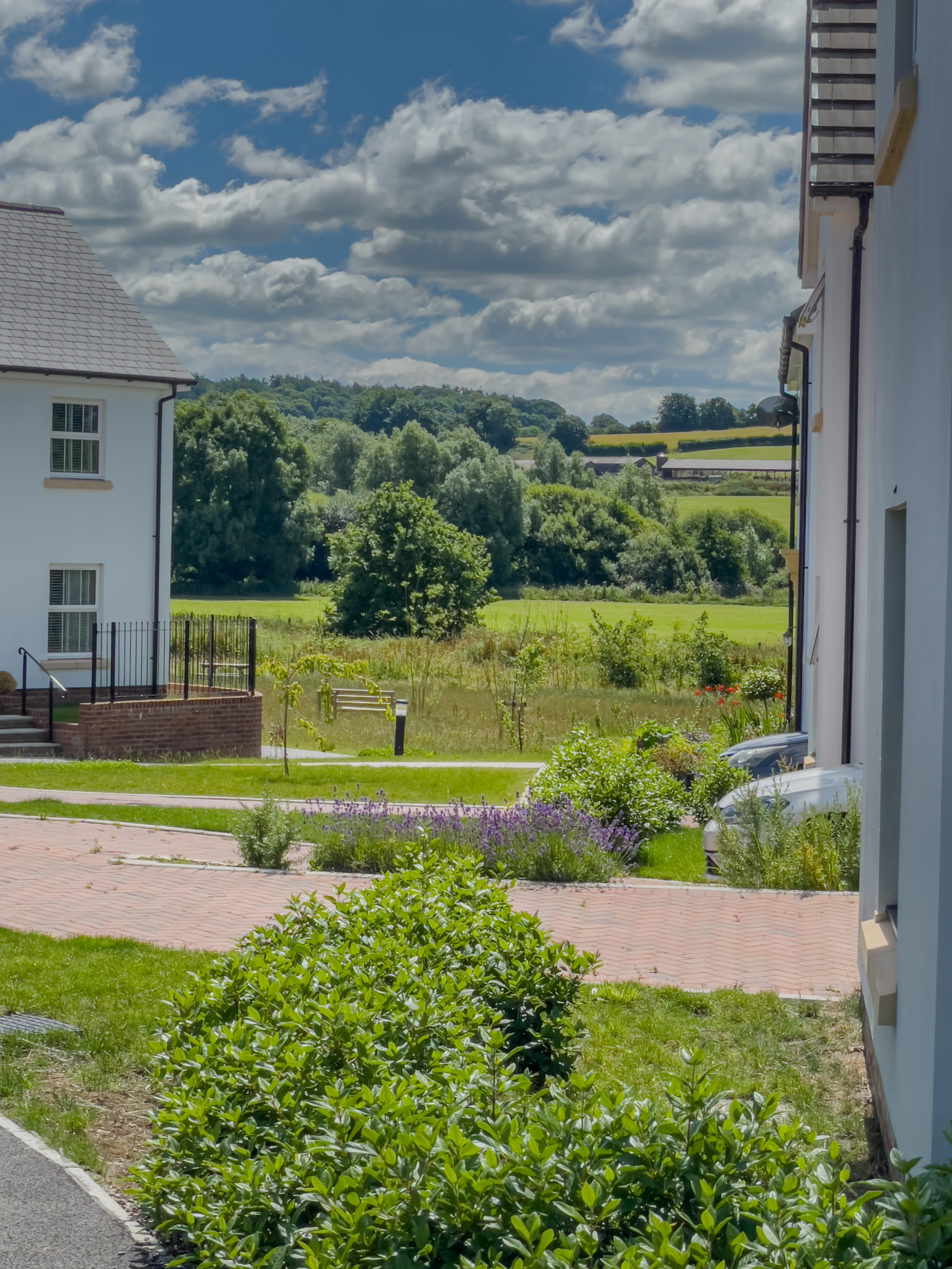 The image shows a peaceful residential area with houses, a garden, and a green field under a partly cloudy sky.