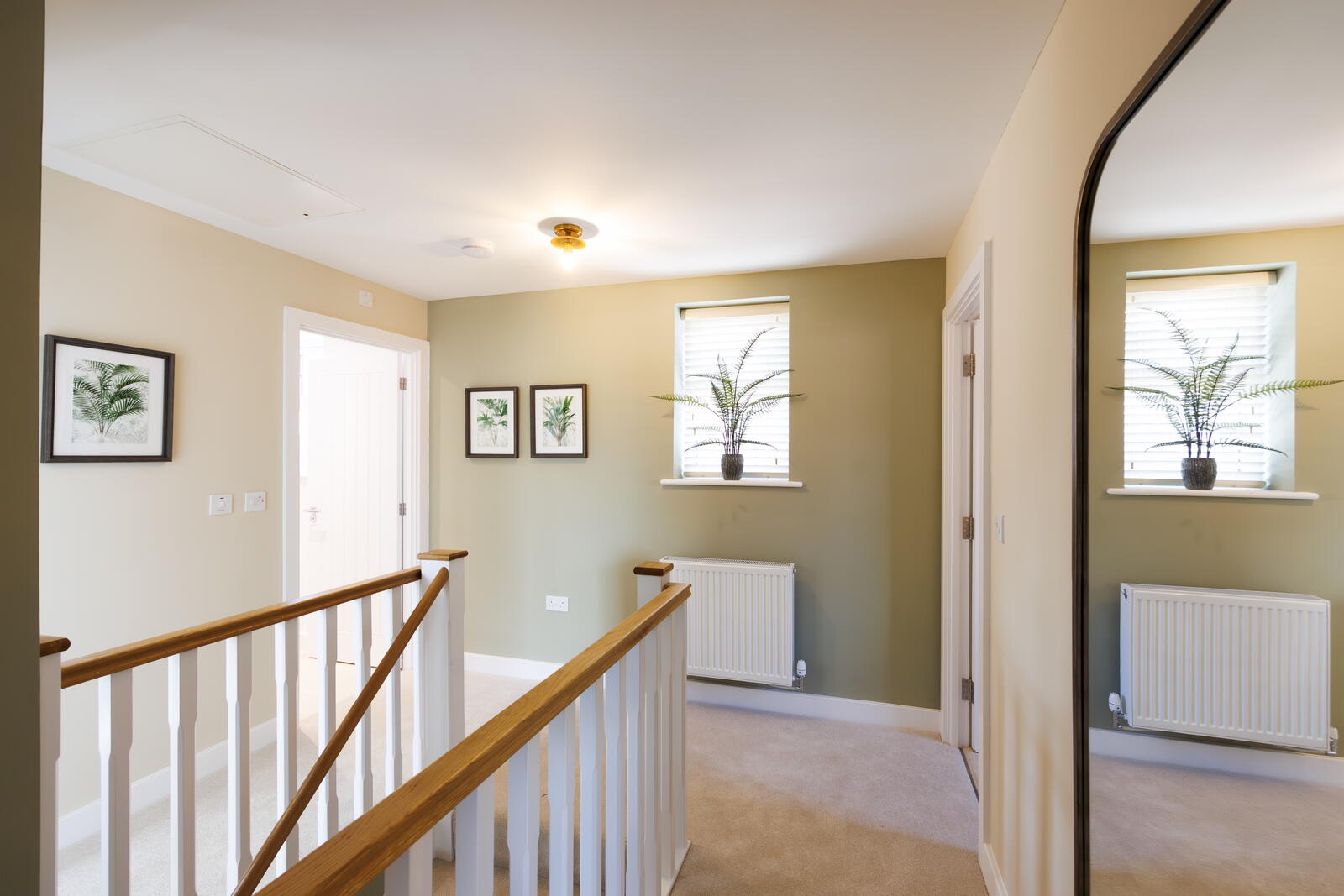 Show Home