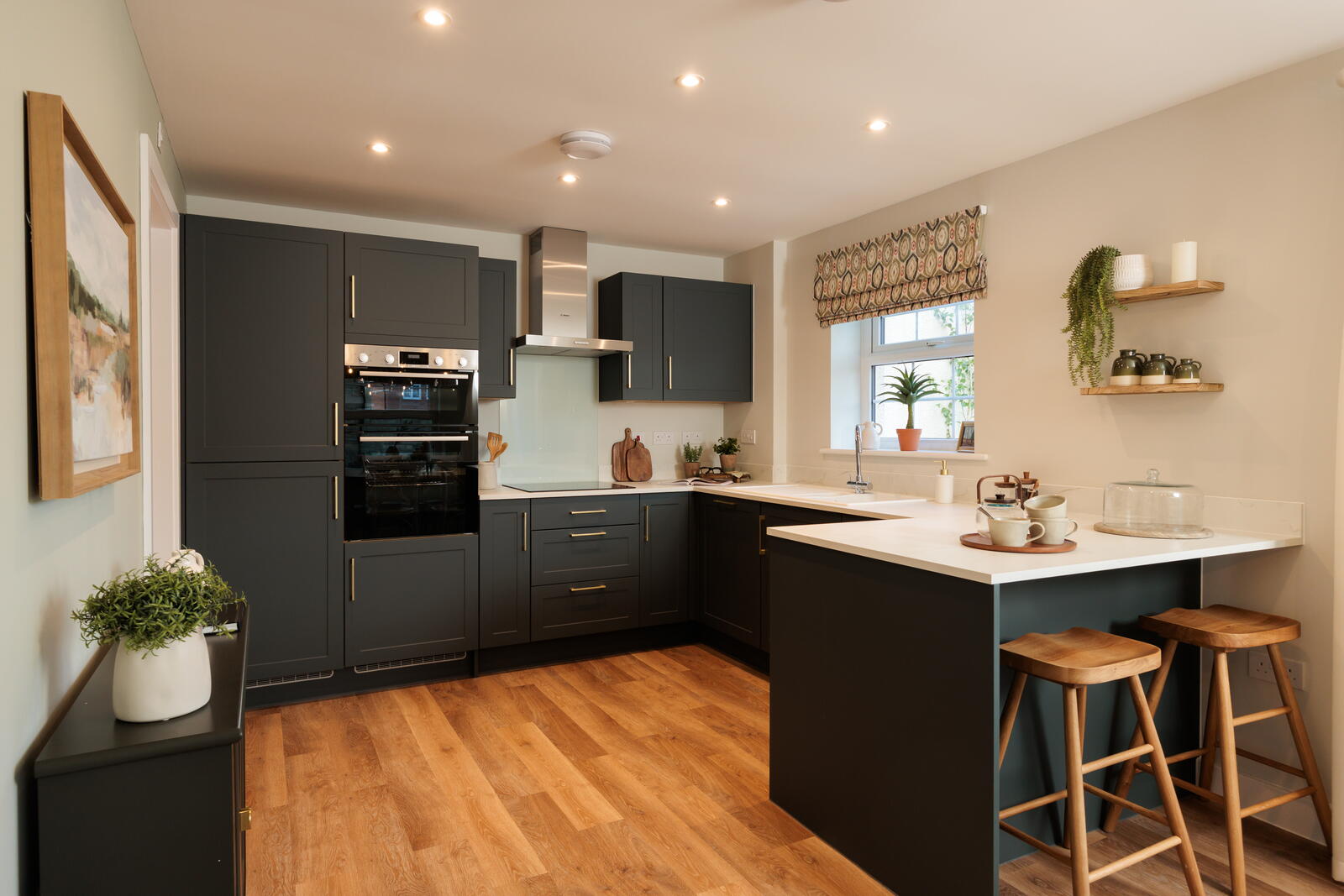 Show Home