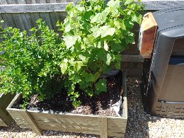 Planters at Bridge Court