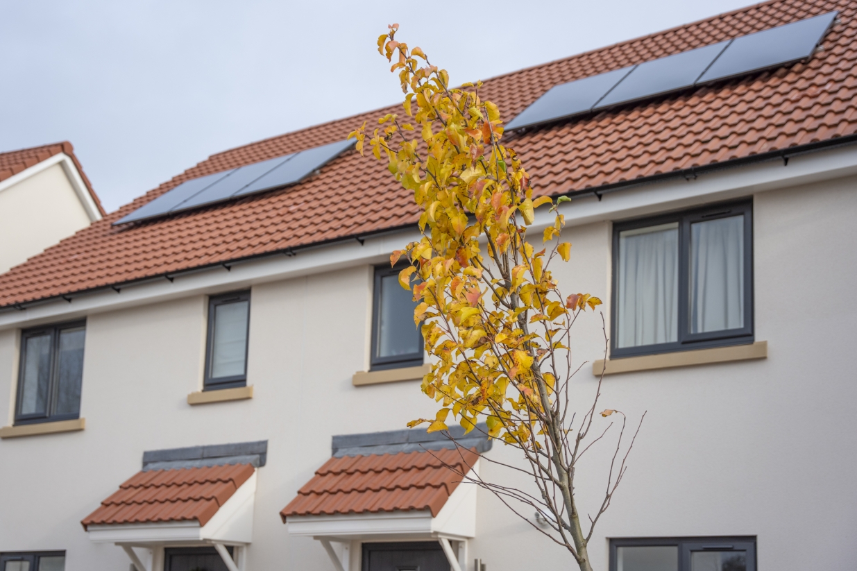 Some of our homes in Congresbury with solar panels. 