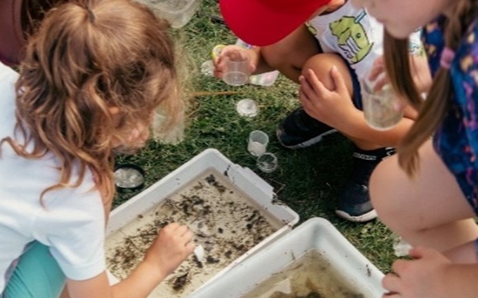 Children learning about their local pond and its wildlife.