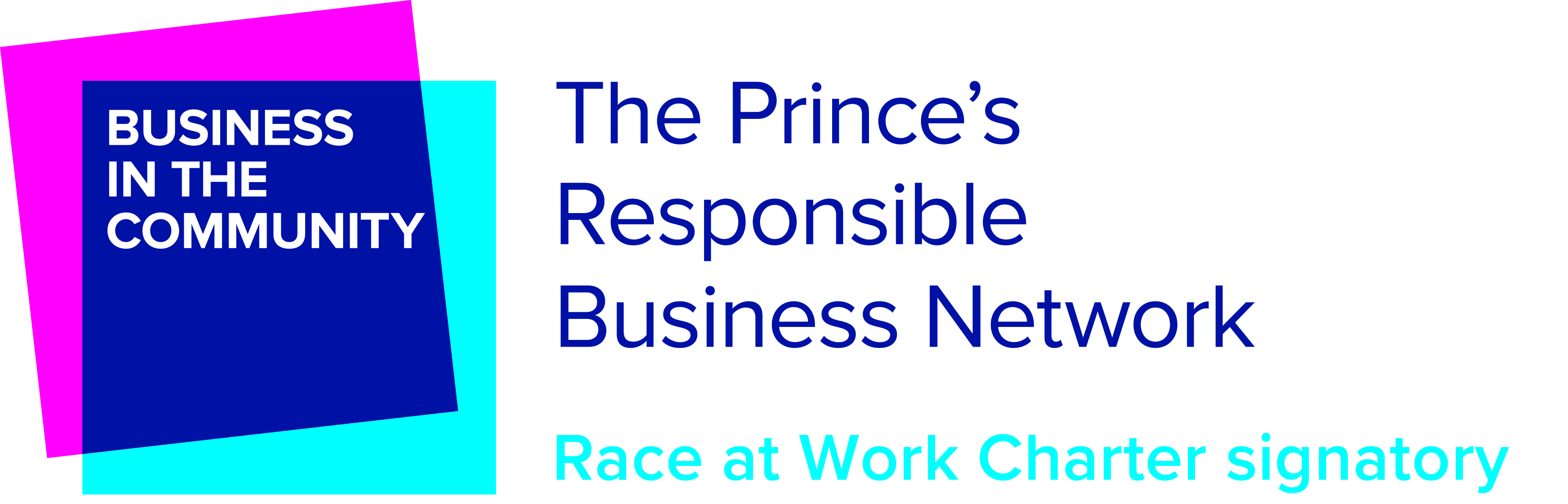 Race at Work Charter logo