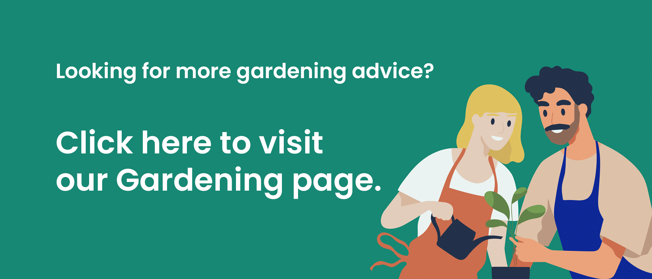 Click here for more gardening advice