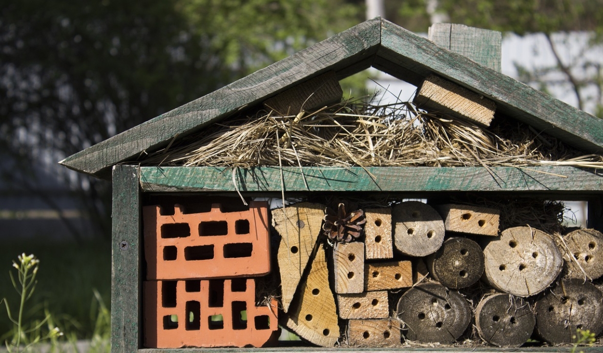 bug hotel