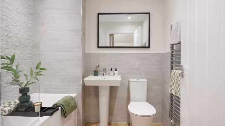 Show Home