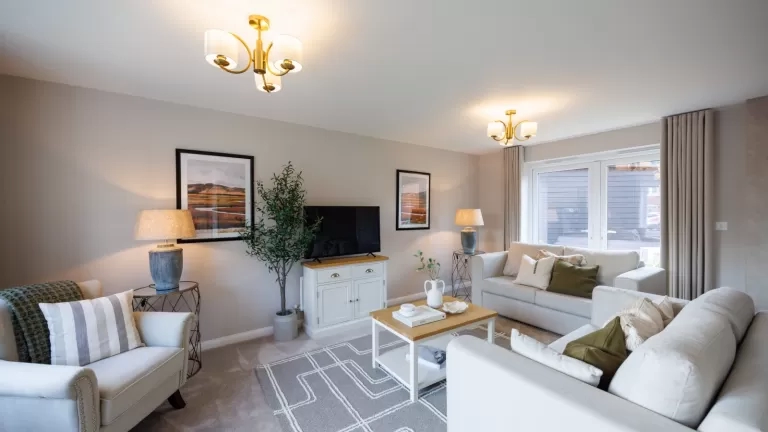 show home