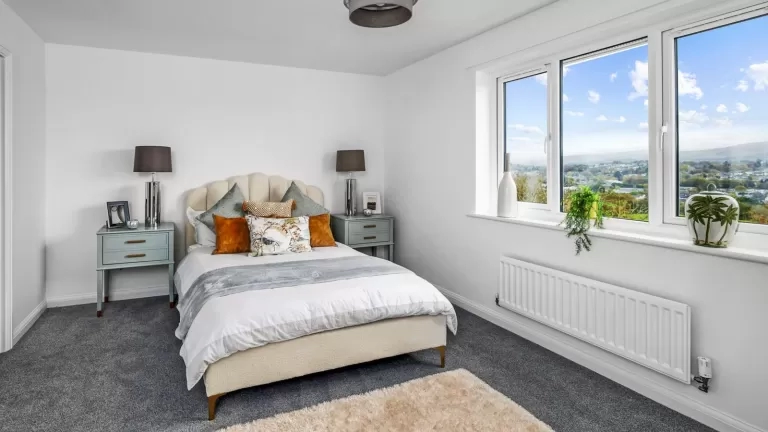 show home