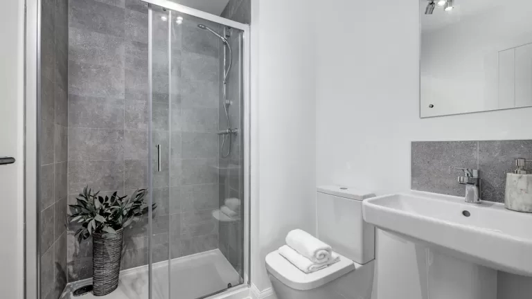 show home