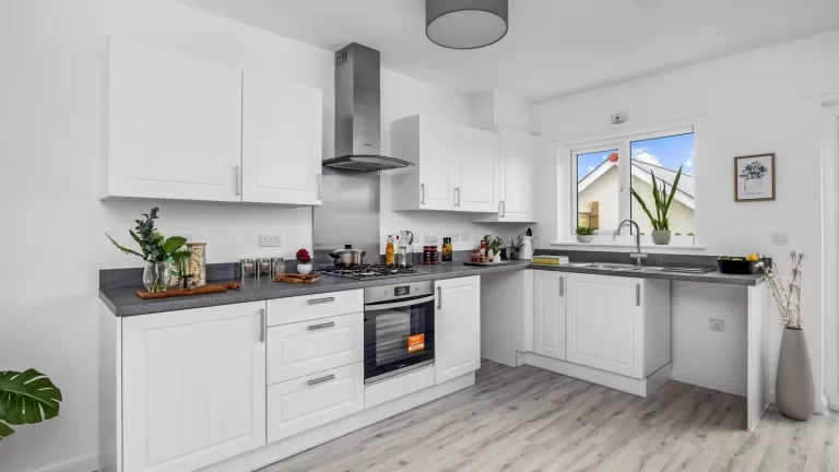 show home