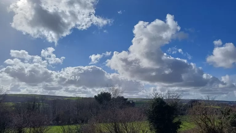 Laveddon Way, Bodmin View