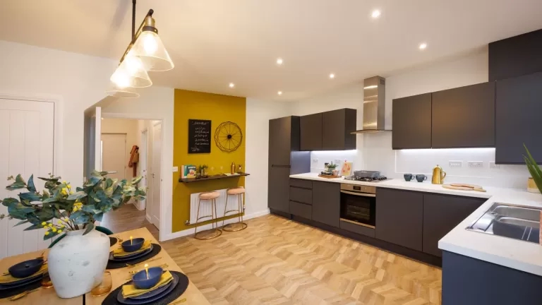 Show Home