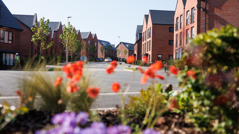 houses with flowers in foreground
