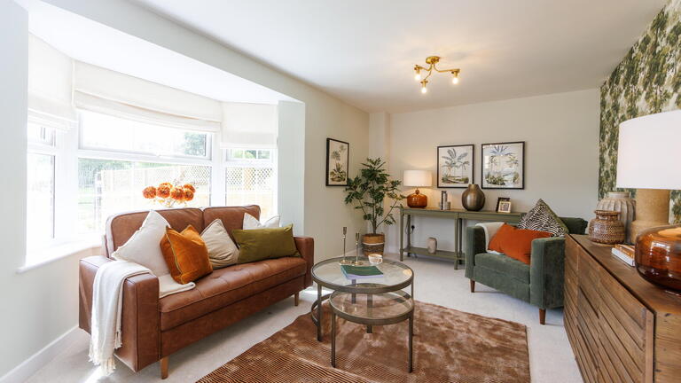 Show Home