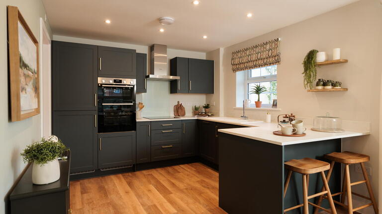 Show Home