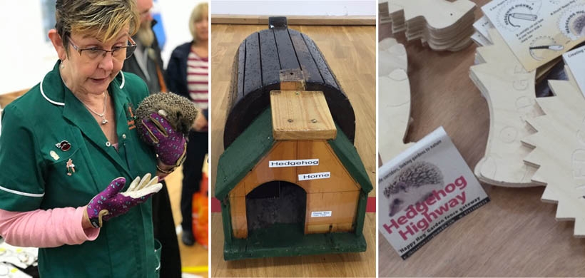 Hedgehog event creating hedgehog highways