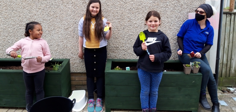 Planting in Newquay