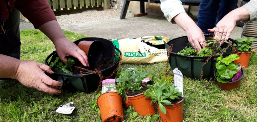 Image of people gardening