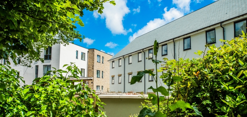 view through trees onto a sunny housing development