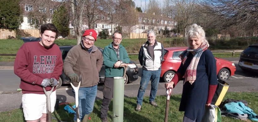 Tree planting in Totnes