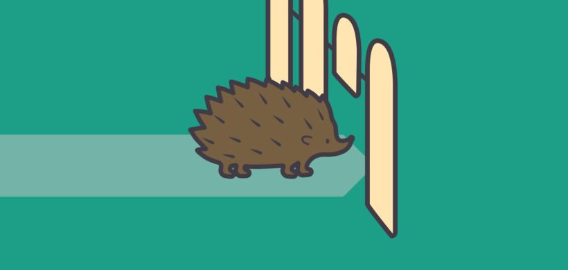hedgehog highway
