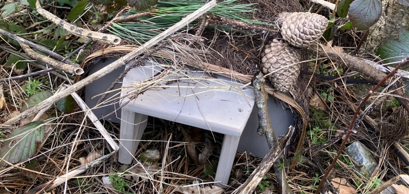 Our new hedgehog home in Truro.