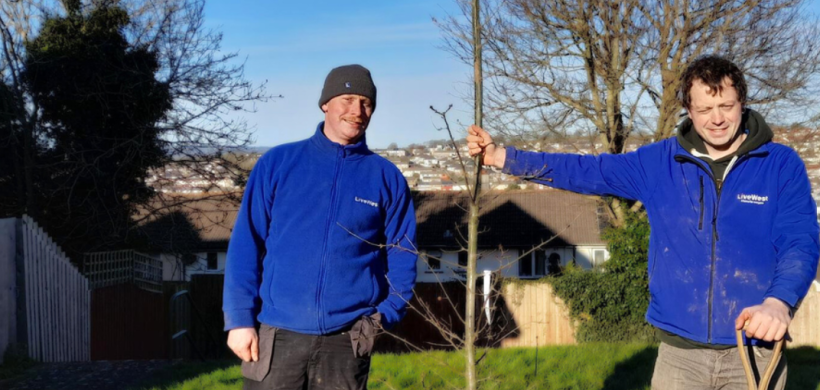 Two LiveWest colleagues are standing by one of the trees they have planted.