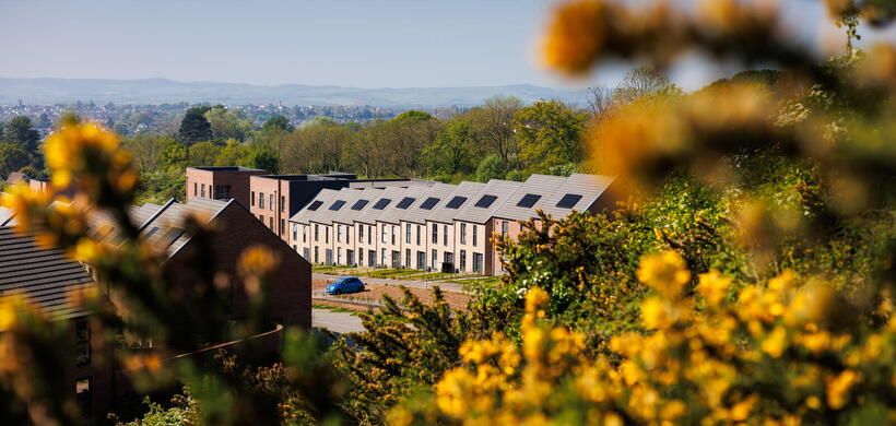 Modern terraced houses nestled among greenery with yellow flowers in the foreground.