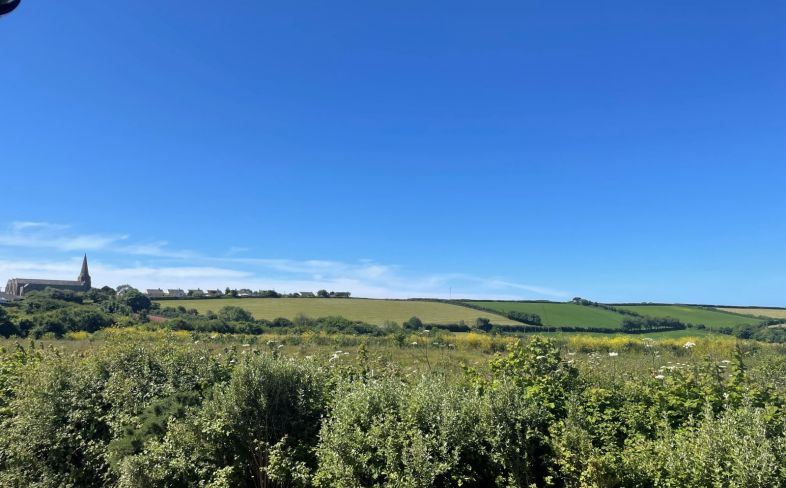 Plot & view from Alston rise