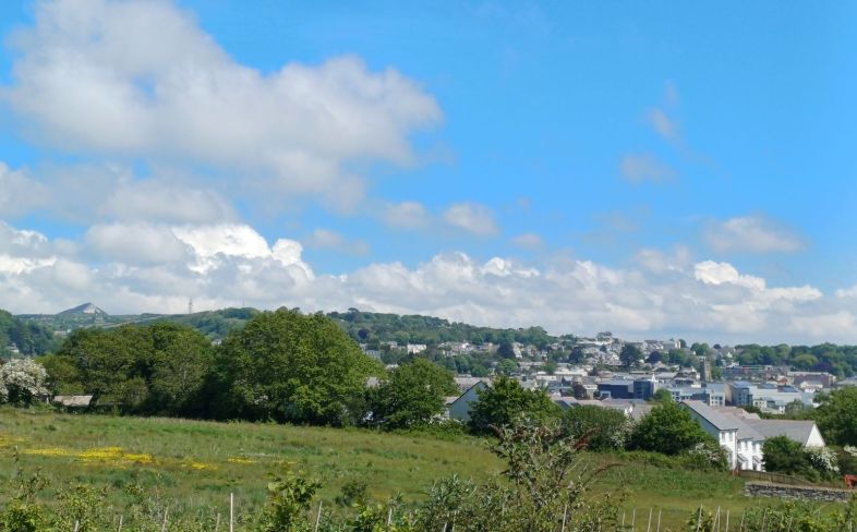 Development View