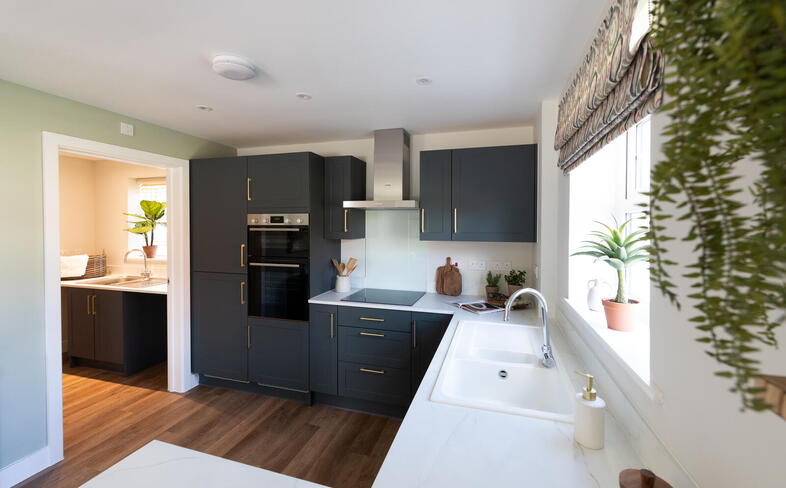 Show Home