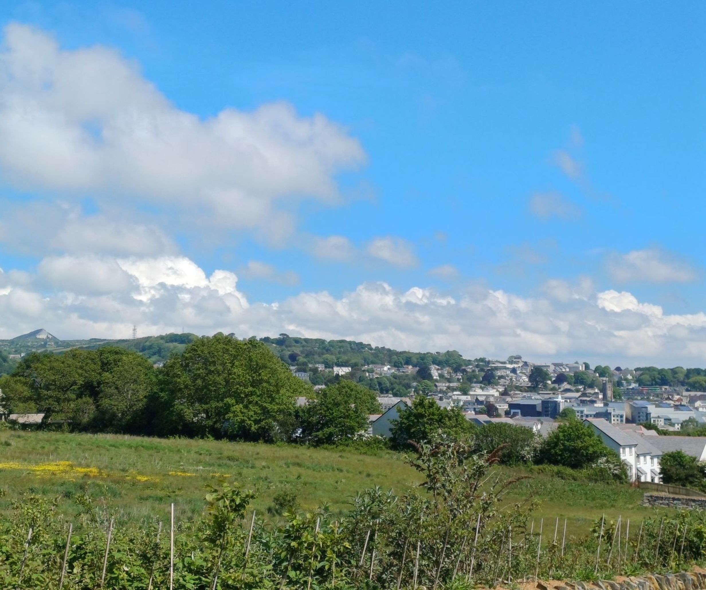 Development View