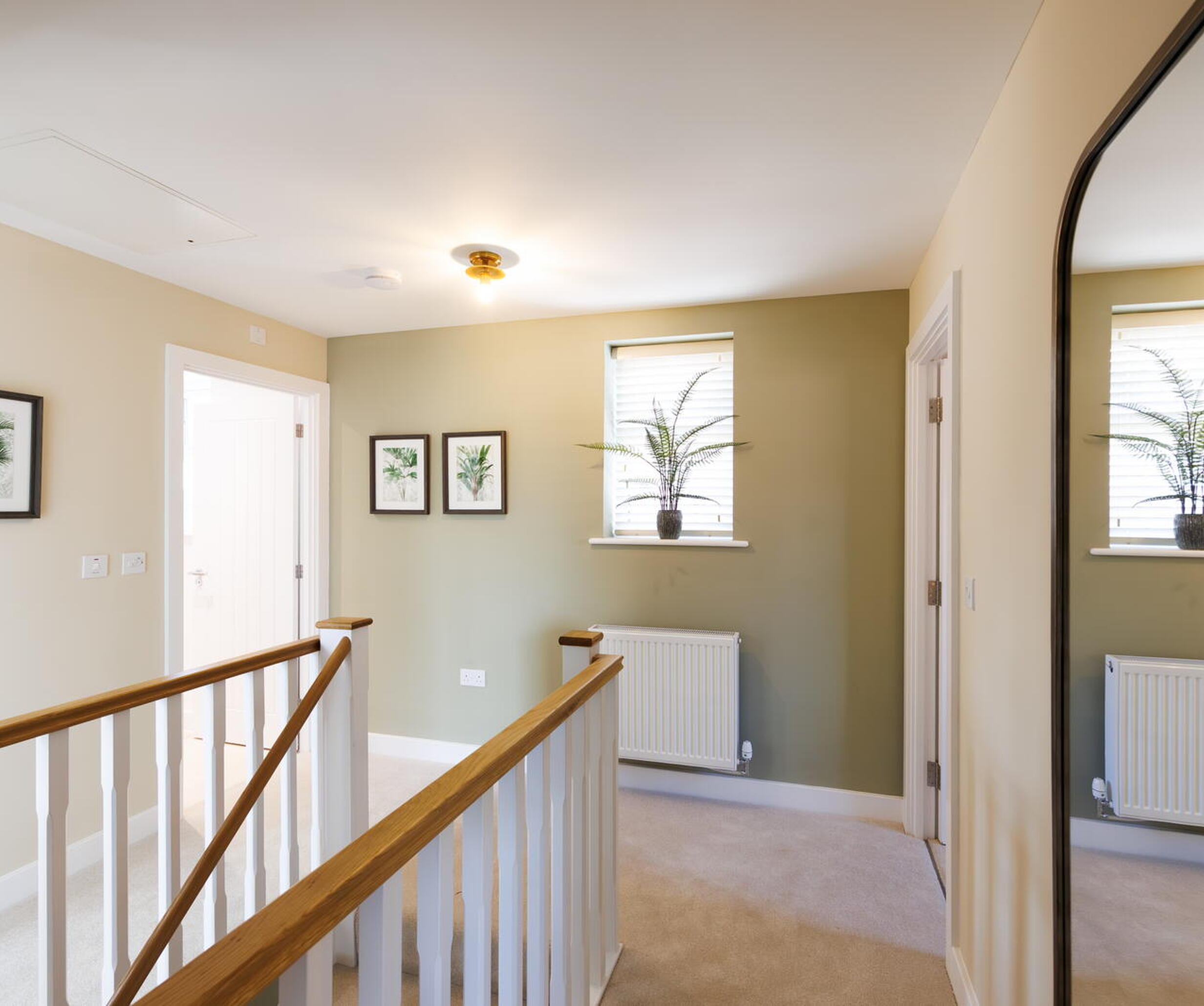 Show Home