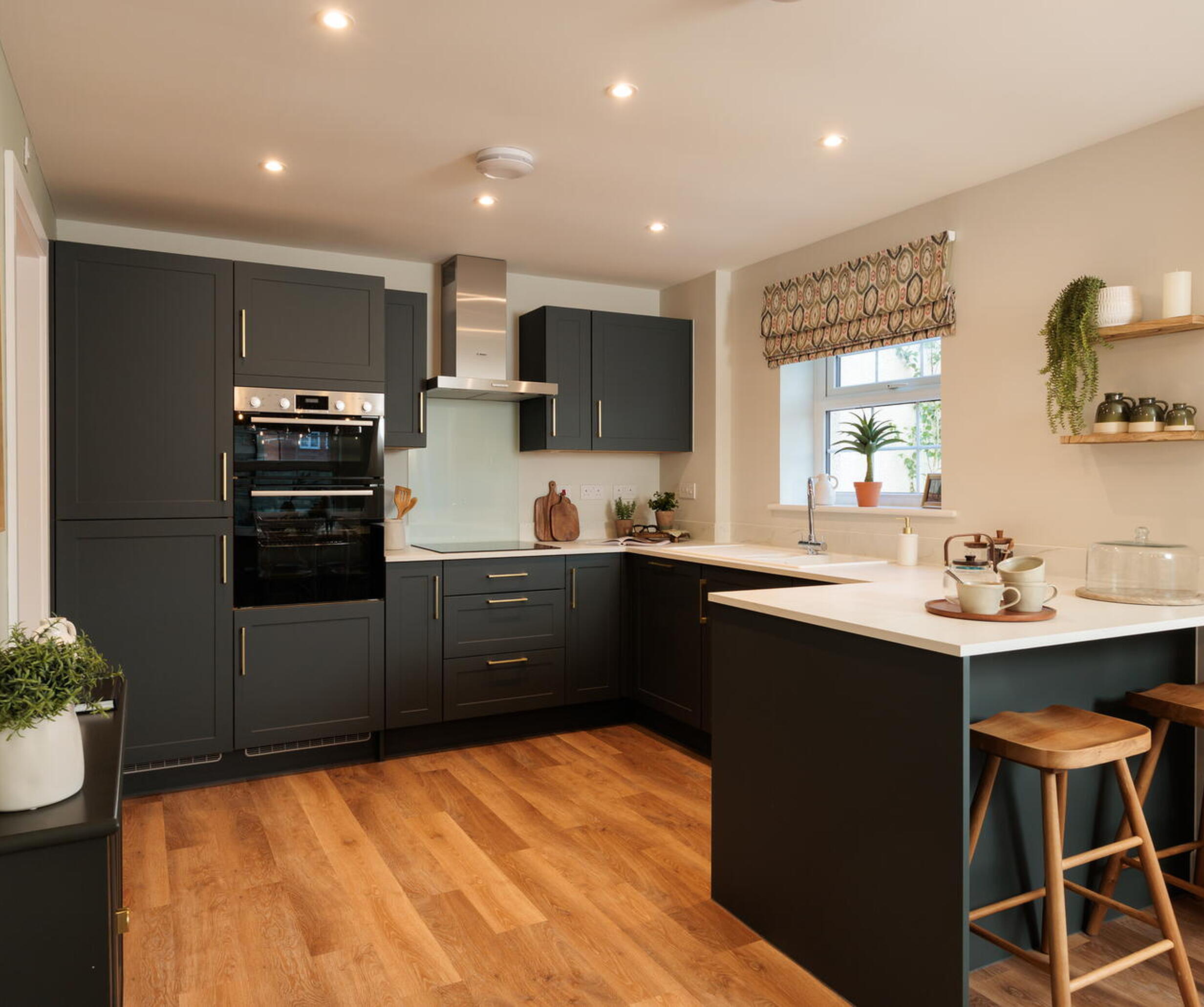 Show Home