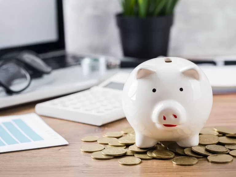 Piggy bank