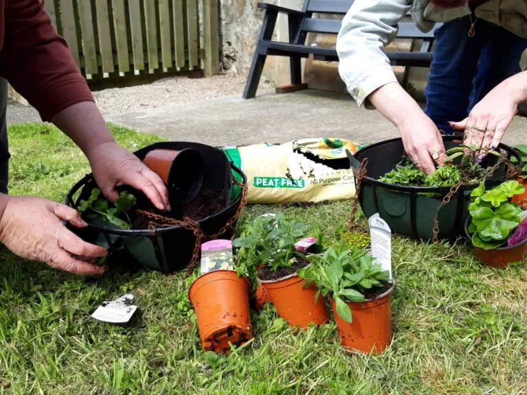 Image of people gardening