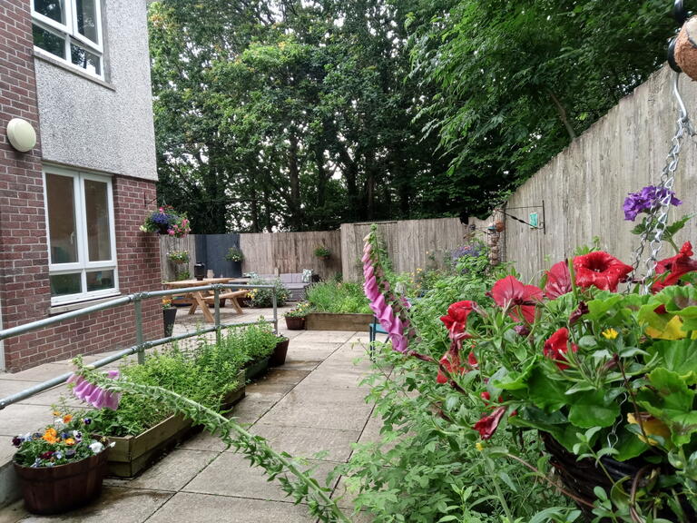 The new garden at Hendra Lodge 