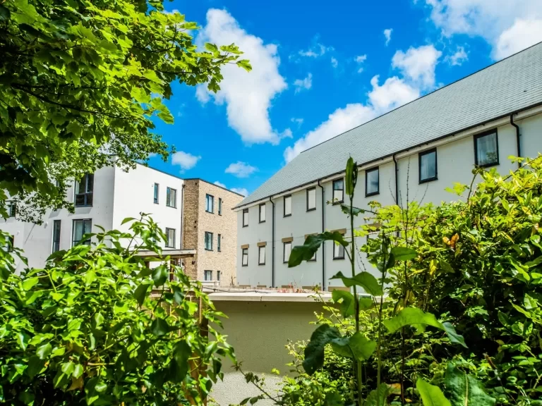 view through trees onto a sunny housing development