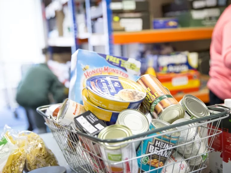 Picture of food in a shopping basket. 