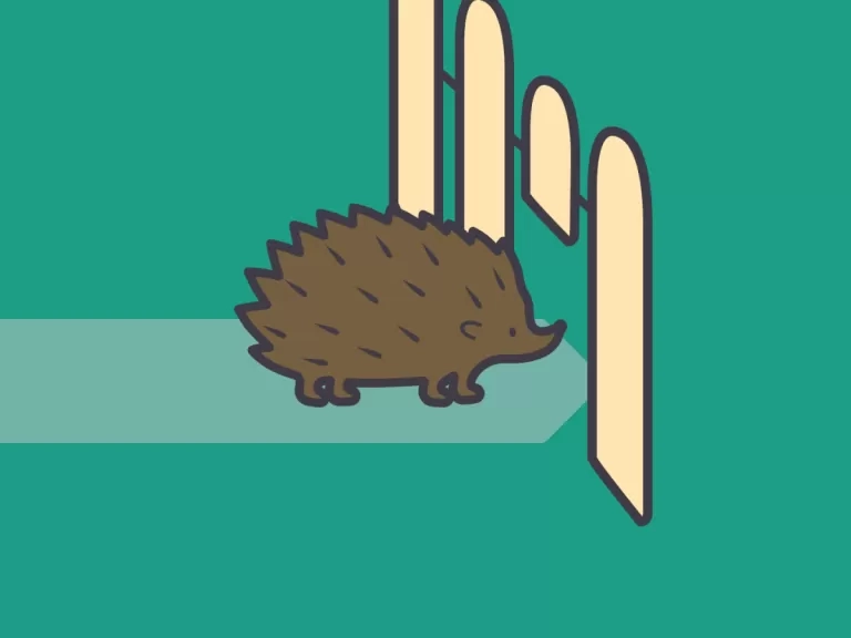 hedgehog highway
