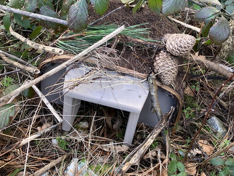 Our new hedgehog home in Truro.