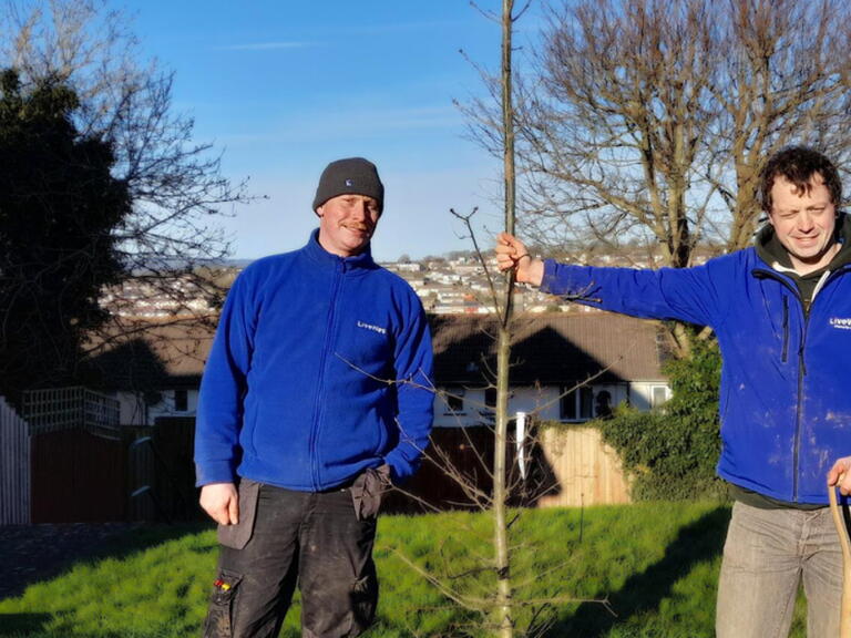 Two LiveWest colleagues are standing by one of the trees they have planted.