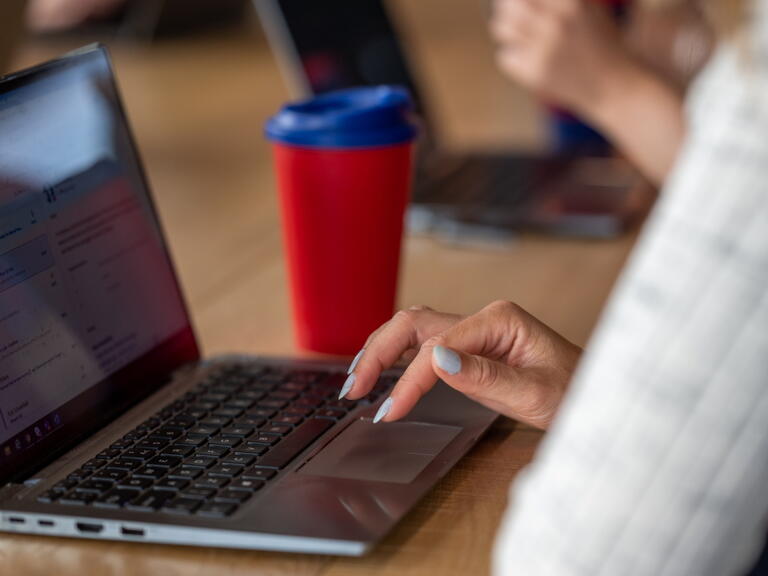 A person using a laptop.