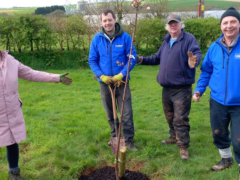 Volunteers and colleagues planting at the orchard.