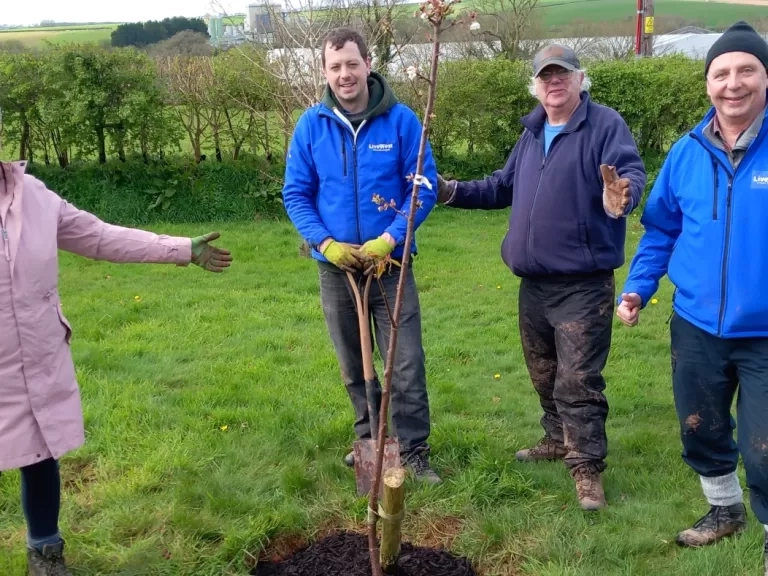 Volunteers and colleagues planting at the orchard.