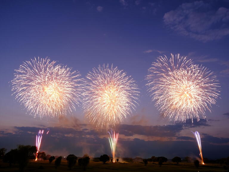 Image of fireworks. 