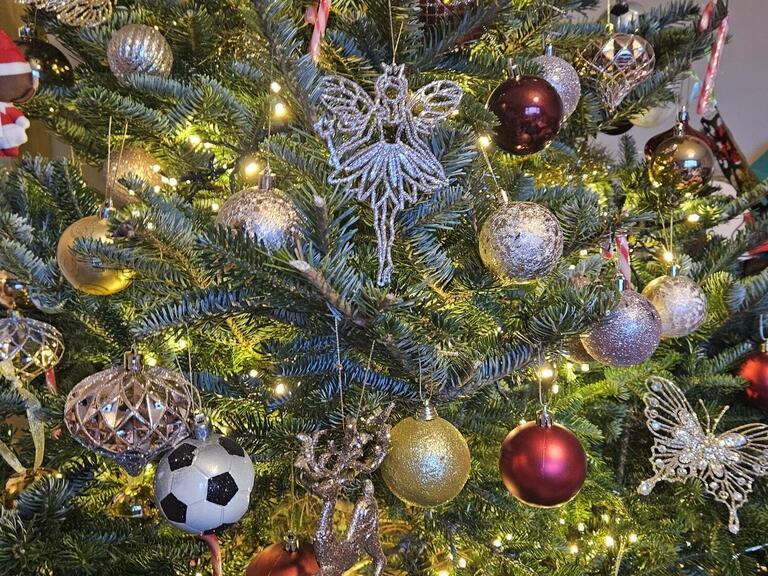 Image of Rebecca's Christmas tree at her LiveWest family home.