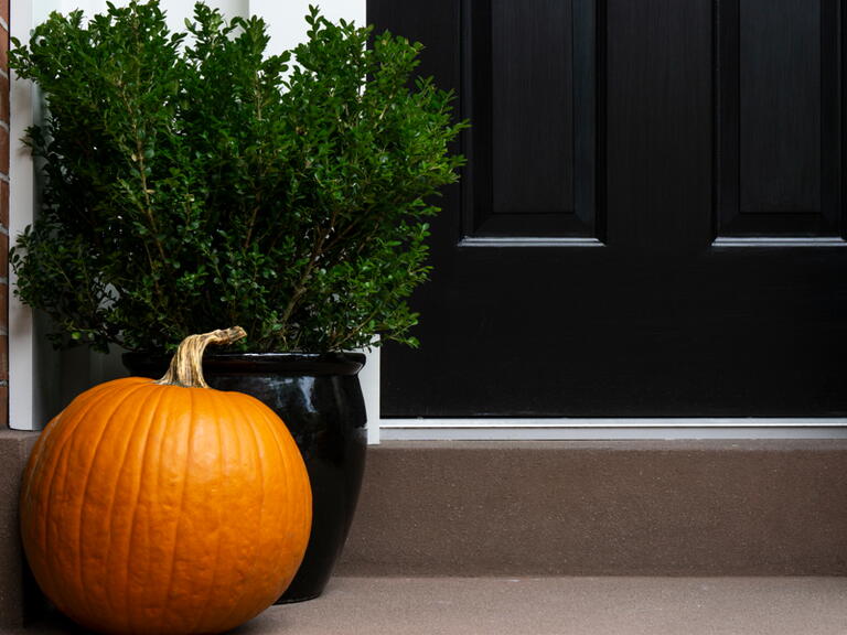 Pumpkin on doostep