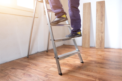 Ladder